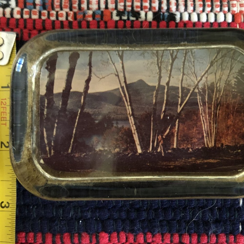 Paperweight forest scene color